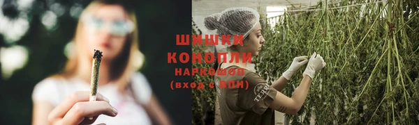 трава Новозыбков