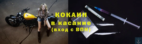 трава Новозыбков