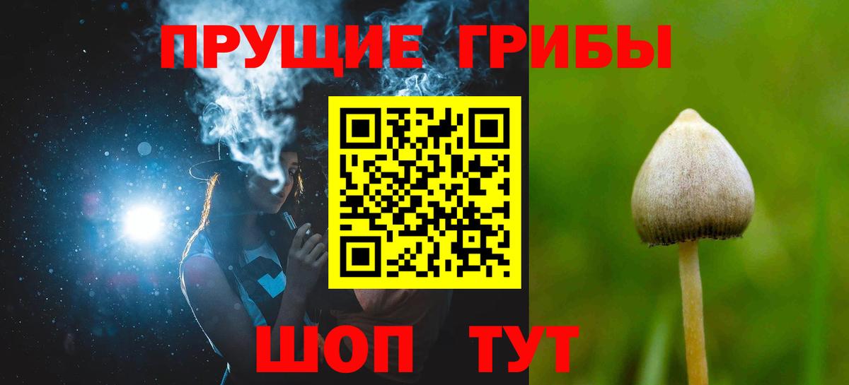 Усолье-Сибирское  Псилоцибиновые грибы MAGIC MUSHROOMS  Вход с VPN 